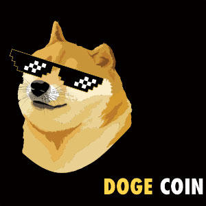 Doge Coin Crypto Playstation 3 & PS3 Slim Skin