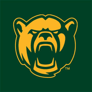 Baylor University Mascot Xbox 360 (Includes HDD) Skin