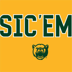 Baylor University Sic Em Wii (Includes 1 Controller) Skin