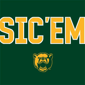 Baylor University Sic Em Green Google Pixel Slate Skin