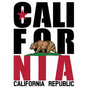 California White Block iPhone 14 MagSafe Case