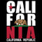 California Black Block Google Home Skin