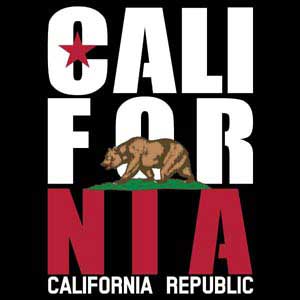 California Black Block Xbox Adaptive Controller Skin