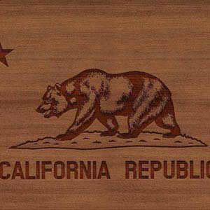 California Wood Flag PS5 DualSense Edge Pro Controller Skin
