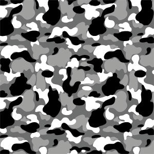 Neutral Street Camo Playstation 3 & PS3 Skin