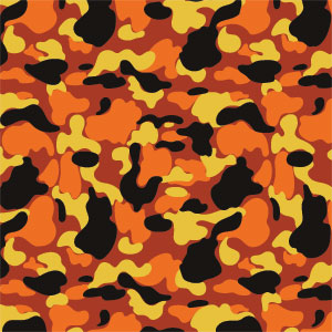 Orange Camo Wii (Includes 1 Controller) Skin