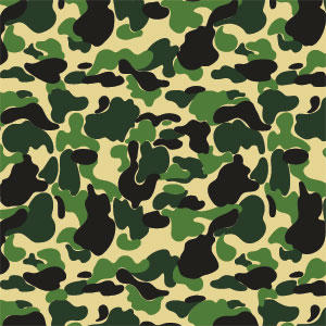 Green Street Camo Playstation 3 & PS3 Skin