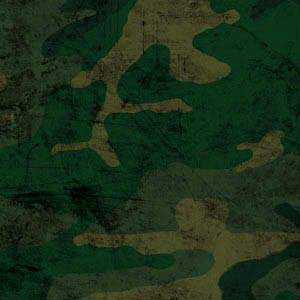 Camouflage Bose QuietComfort 35 II Headphones Skin