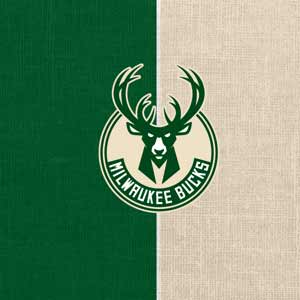 NBA Milwaukee Bucks Split Canvas iPhone Charger (5W USB) Skin