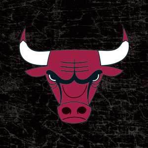 NBA Chicago Bulls Black Distressed Galaxy Book 12in Skin