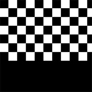 Checkerboard Split Wii (Includes 1 Controller) Skin