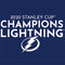 NHL 2020 Stanley Cup Champions Lightning Universal Laptop 14in (11.4 x 8.2in) Skin