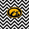 University of Iowa Hawkeyes Chevron Print Xbox Adaptive Controller Skin