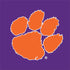 Clemson University Tiger Print Purple Xbox Series X Bundle Skin