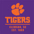 Clemson University Tigers Est 1889 Xbox Series X Bundle Skin