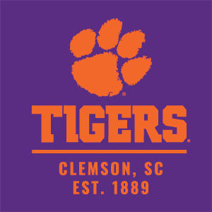 Clemson University Tigers Est 1889 Xbox 360 Slim (2010) Skin