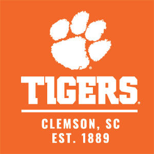 Clemson University Tigers Est 1889 Orange Xbox 360 Slim (2010) Skin