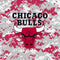 NBA Chicago Bulls Digi Camo Nintendo Switch OLED (2021) Skin