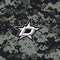 NHL Dallas Stars Camo DS Lite Skin