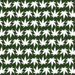 Marijuana Leaf White Pattern Oculus Quest 2 Skin