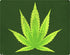 Marijuana Leaf Light Green iPhone XS Clear Case