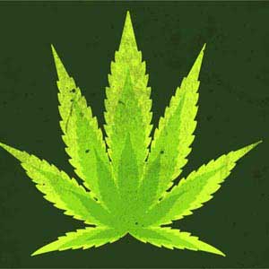 Marijuana Leaf Light Green Fire TV Cube Skin