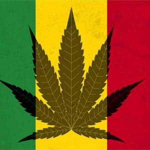 Marijuana Rasta Flag Xbox Adaptive Controller Skin