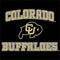 University of Colorado CU Logo on Gold Xbox 360 Slim (2010) Skin