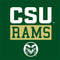Colorado State University CSU Rams Xbox 360 Slim (2010) Skin