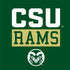 Colorado State University CSU Rams Xbox Series X Bundle Skin