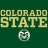 Colorado State University CSU Xbox Series X Bundle Skin