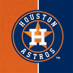 MLB Houston Astros Split Wii (Includes 1 Controller) Skin