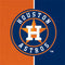MLB Houston Astros Split Wii (Includes 1 Controller) Skin
