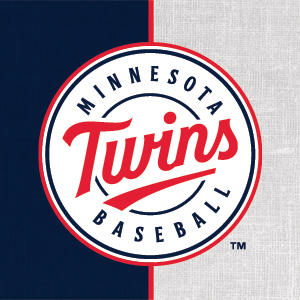 MLB Minnesota Twins Split Xbox 360 Slim (2010) Skin
