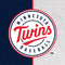 MLB Minnesota Twins Split Xbox 360 Slim (2010) Skin