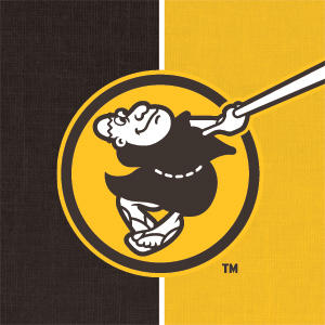 MLB San Diego Padres Split Playstation 3 & PS3 Skin