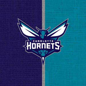 NBA Charlotte Hornets Canvas Fire TV Cube Skin