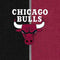 NBA Chicago Bulls Canvas DS Lite Skin