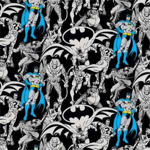 DC Comics Batman Characters Action Poses Print Fire TV Cube Skin