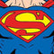 DC Comics Superman Vintage Chest Nintendo 2DS Skin