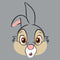 Disney Bambi Thumper Portrait iPhone 15 Pro Max Impact Case