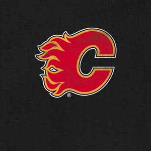 NHL Calgary Flames Distressed Xbox 360 Slim (2010) Skin