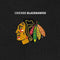 NHL Chicago Blackhawks Distressed DS Lite Skin