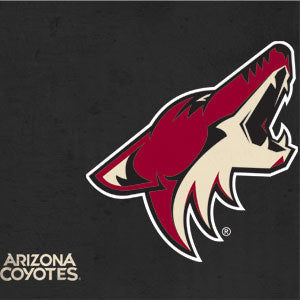 NHL Arizona Coyotes Distressed Xbox 360 Slim (2010) Skin