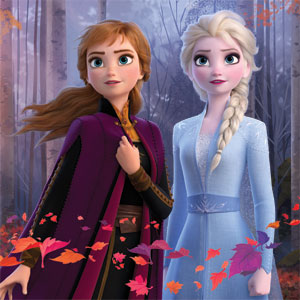 Disney Frozen II Anna and Elsa Wii (Includes 1 Controller) Skin