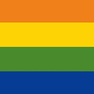 The Rainbow Flag iPhone 6/6s Skin