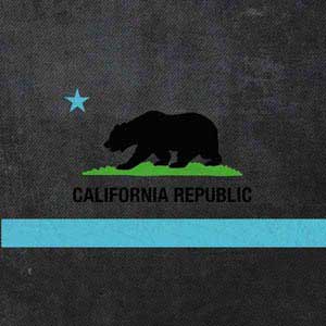 California Neon Republic iPhone 13 Pro Max Clear Case