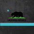 California Neon Republic iPhone XS Clear Case