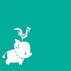 Disney Moana Heihei and Pua Fire TV Cube Skin