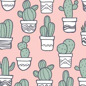 Pink Cactus Studio Wireless Skin
